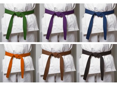 all color of karate belt